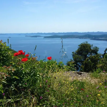 Family-friendly W/beautiful Terrace